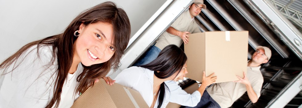 Professional Removalists North Haven NSW